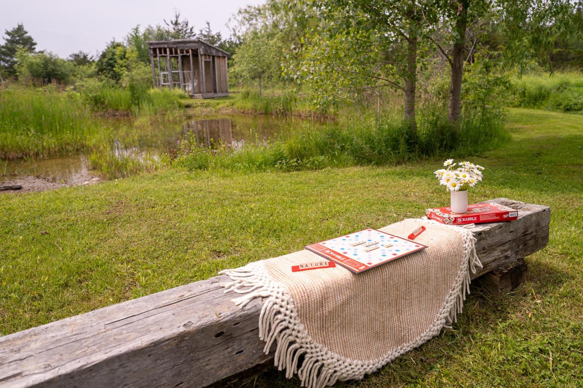 Owl'S Nest Suites Carrying Place Exteriör bild