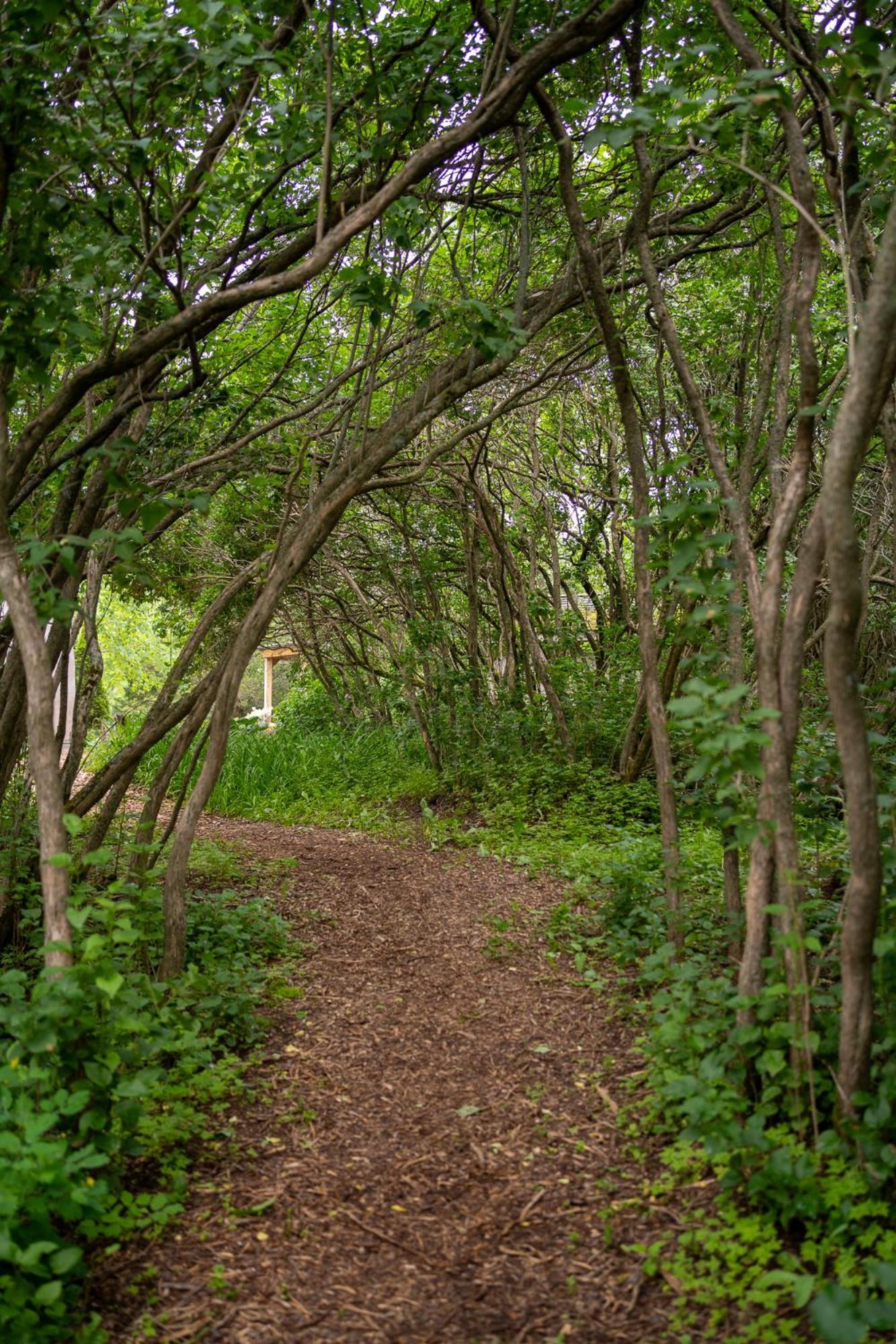 Owl'S Nest Suites Carrying Place Exteriör bild
